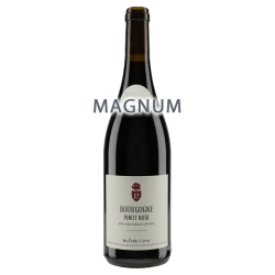 Les Petits Lieux Bourgogne Pinot Noir 2024 MAGNUM