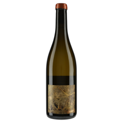 Domaine Luneau-Papin "Terre de Pierre" 2024