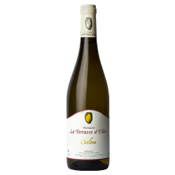 Domaine La Terrasse d'Élise "Siclène" Blanc 2025
