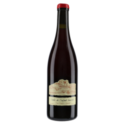 Domaine Ganevat Poulsard "l'Enfant Terrible" 2023