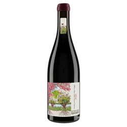 Domaine Mayard Lirac Rouge 2024