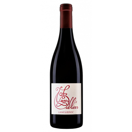 Les Vignes Oubliées Autour du Cinsault 2025