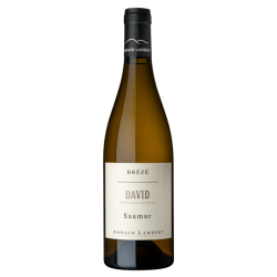 Domaine Arnaud Lambert Saumur Brézé "David" 2023