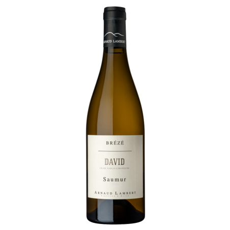 Domaine Arnaud Lambert Saumur Brézé "David" 2023