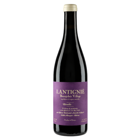 Yann Bertrand Beaujolais "Lantignié" 2025