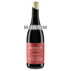 Yann Bertrand Morgon "Dynamite" 2024 MAGNUM
