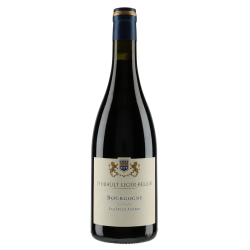 Domaine Thibault Liger-Belair Bourgogne Gamay "Les 2 Terres" 2023