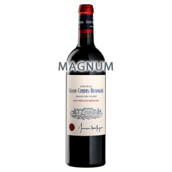 Château Grand Corbin-Despagne 2019 MAGNUM