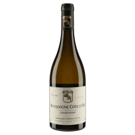 Domaine Fabien Coche Bourgogne Côte d'Or Chardonnay 2023