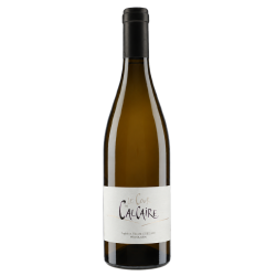 Domaine Saint Sylvestre "Le Coup de Calcaire" 2023