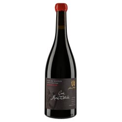 Adrien Berlioz Mondeuse Marie-Clothilde 2025