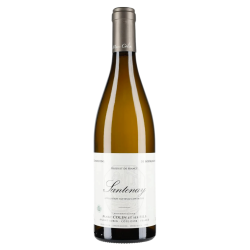 Domaine Marc Colin Santenay Blanc 2024