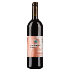 Marie-Thérèse Chappaz Grain Pinot "Chamoson" 2024