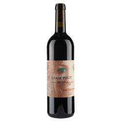 Marie-Thérèse Chappaz Grain Pinot Les Dahrres 2024