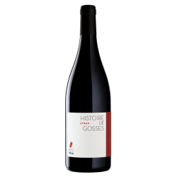 Hugo et Pauline Villa Syrah "Histoire de Gosses" 2025