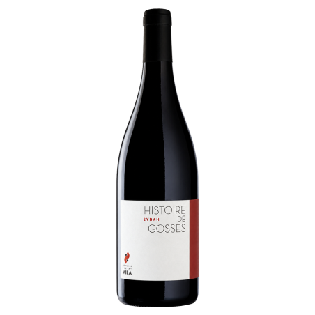 Hugo et Pauline Villa Syrah "Histoire de Gosses" 2025