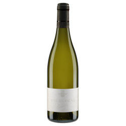 Domaine Trapet Bourgogne Blanc 2024