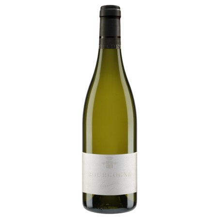 Domaine Trapet Bourgogne Blanc 2024
