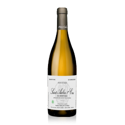 Domaine Marc Colin Saint Aubin 1er cru, Montceau 2013