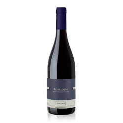 Anne Gros Bourgogne Pinot Noir "Jeunes Vignes" 2013