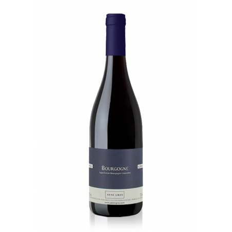 Anne Gros Bourgogne Pinot Noir "Jeunes Vignes" 2013