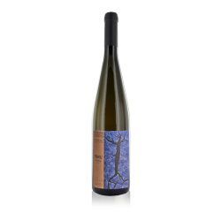 Domaine Ostertag Alsace "Fronholz" Riesling 2013