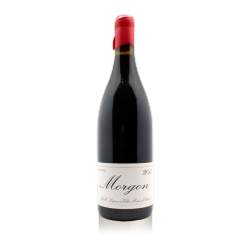 Domaine Marcel Lapierre Morgon 2013