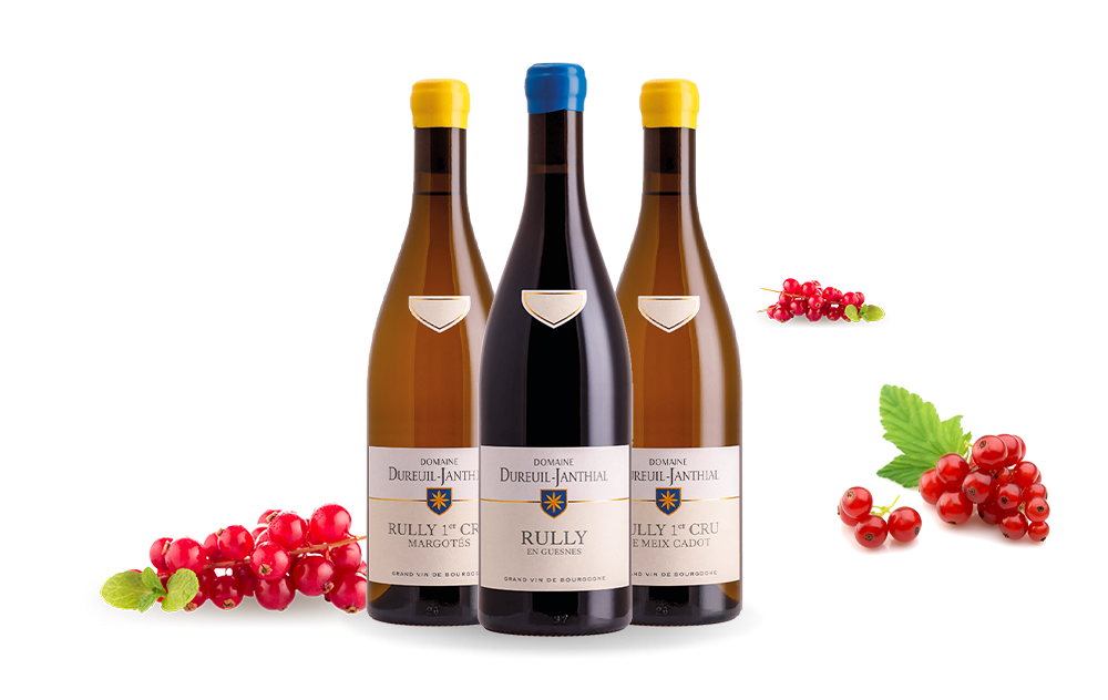 Domaine Dureuil-Janthial-cover