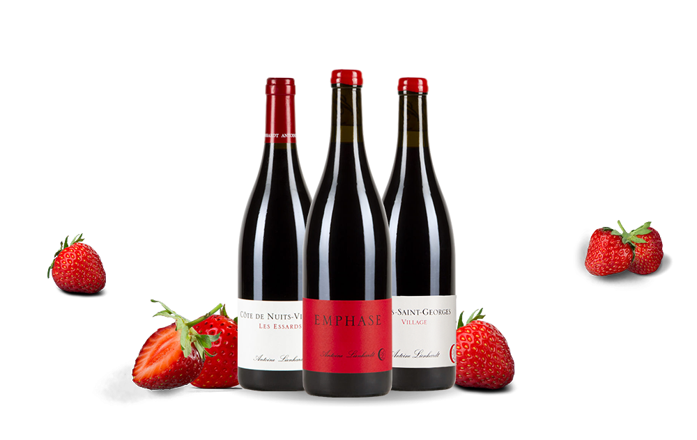 Domaine Antoine Lienhardt-cover