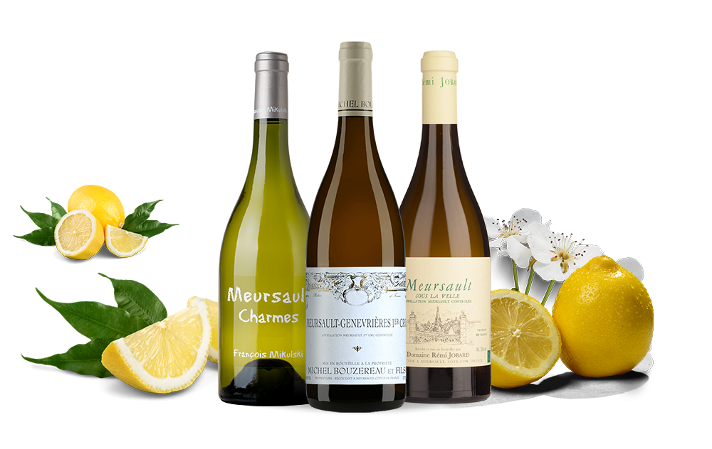 Trio à Meursault-cover