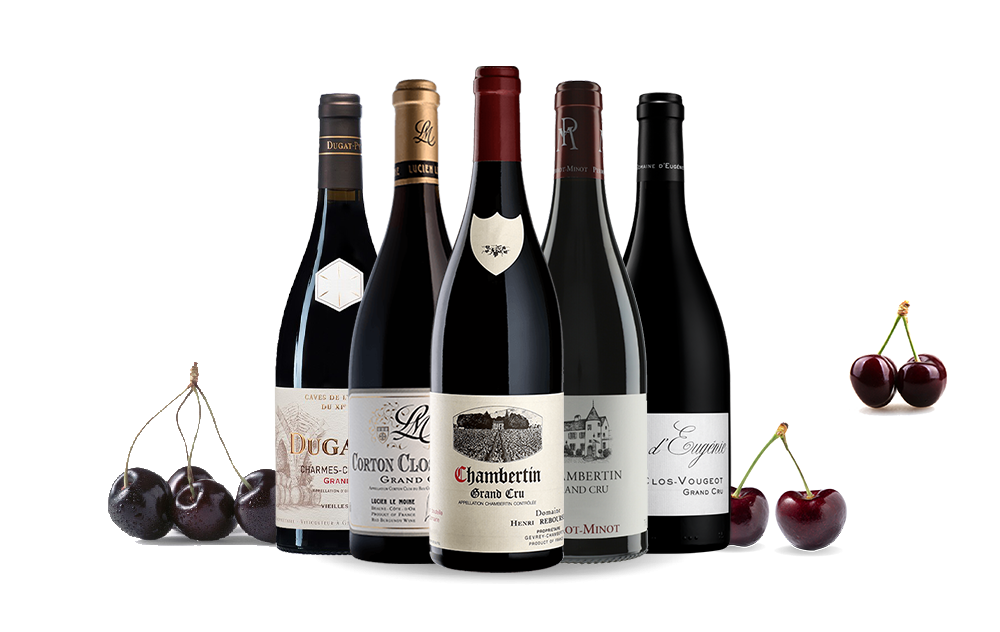 Grands Vins de Bourgogne-cover