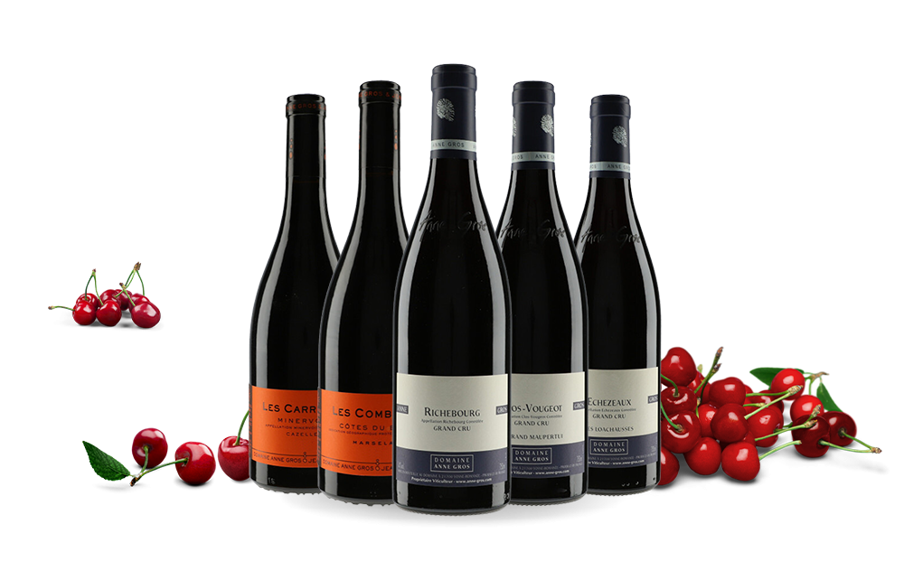 Domaine Anne Gros-cover