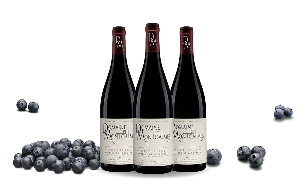 Domaine de Montcalmès-cover