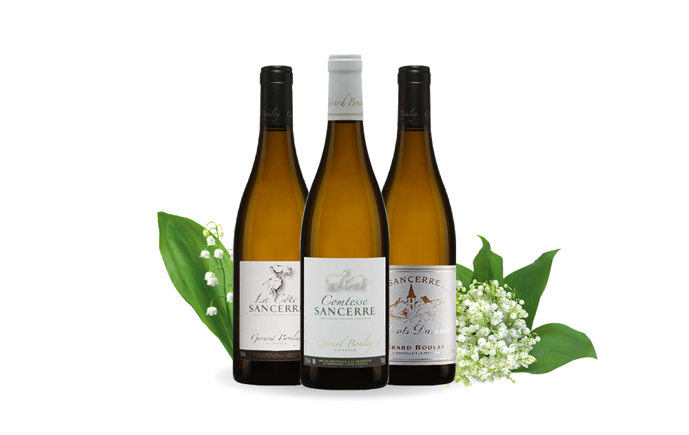 Domaine Gérard Boulay-cover