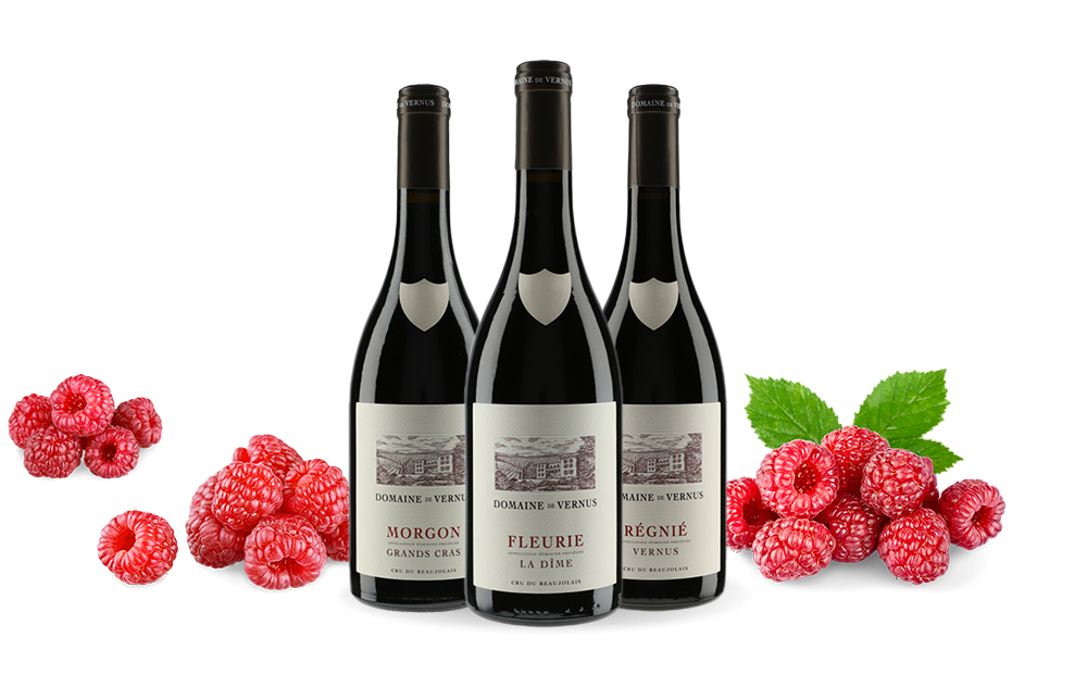 Domaine de Vernus-cover