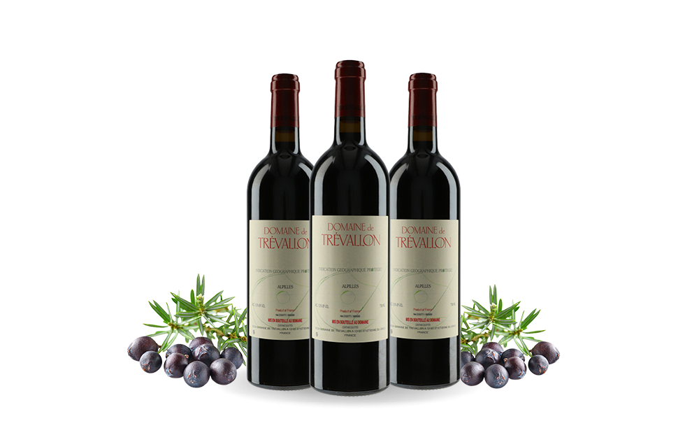 Domaine de Trévallon-cover
