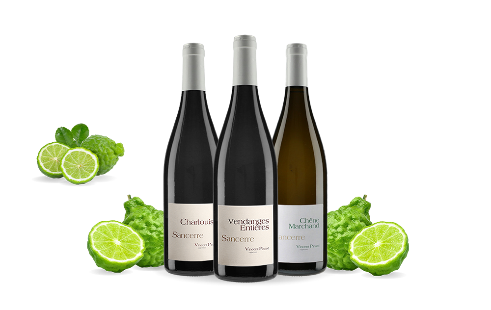 Domaine Vincent Pinard-cover