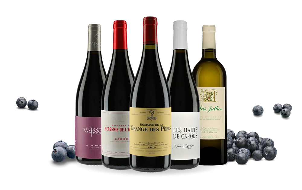 Les Terrasses du Larzac-cover