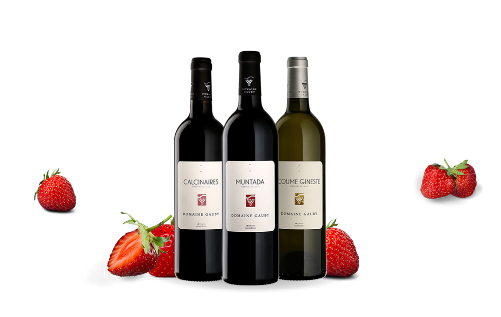 Domaine Gauby-cover
