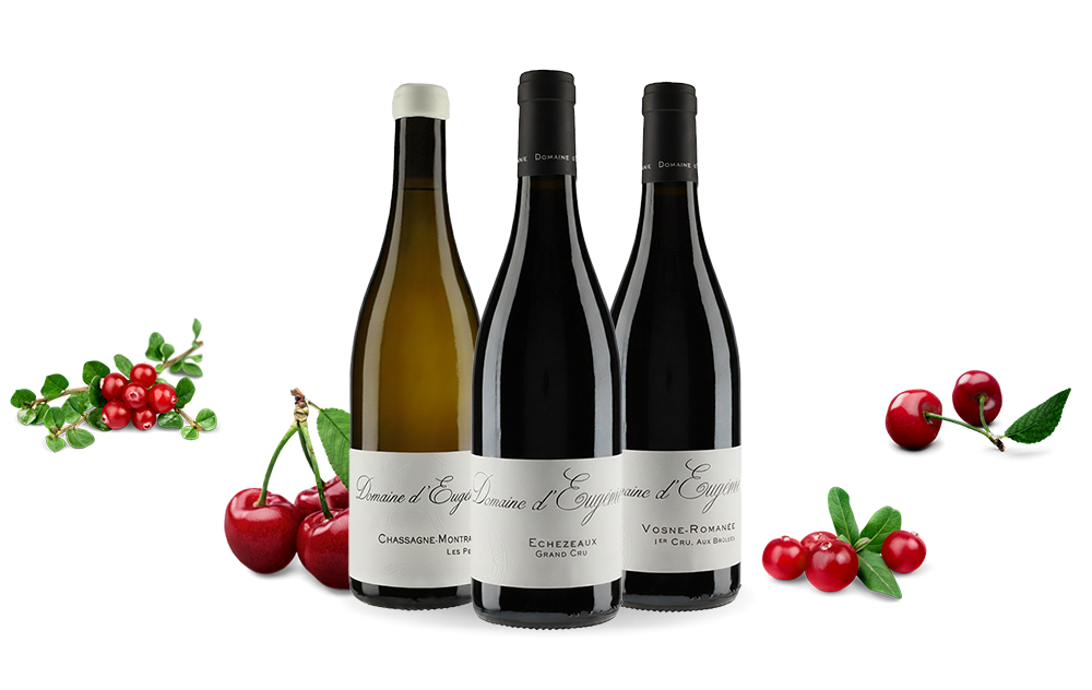 Domaine d'Eugénie-cover