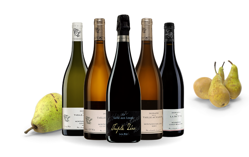 La Famille Blot-cover