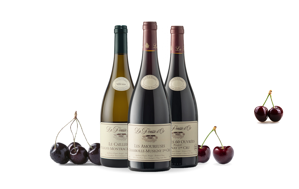 Domaine de la Pousse d'Or-cover