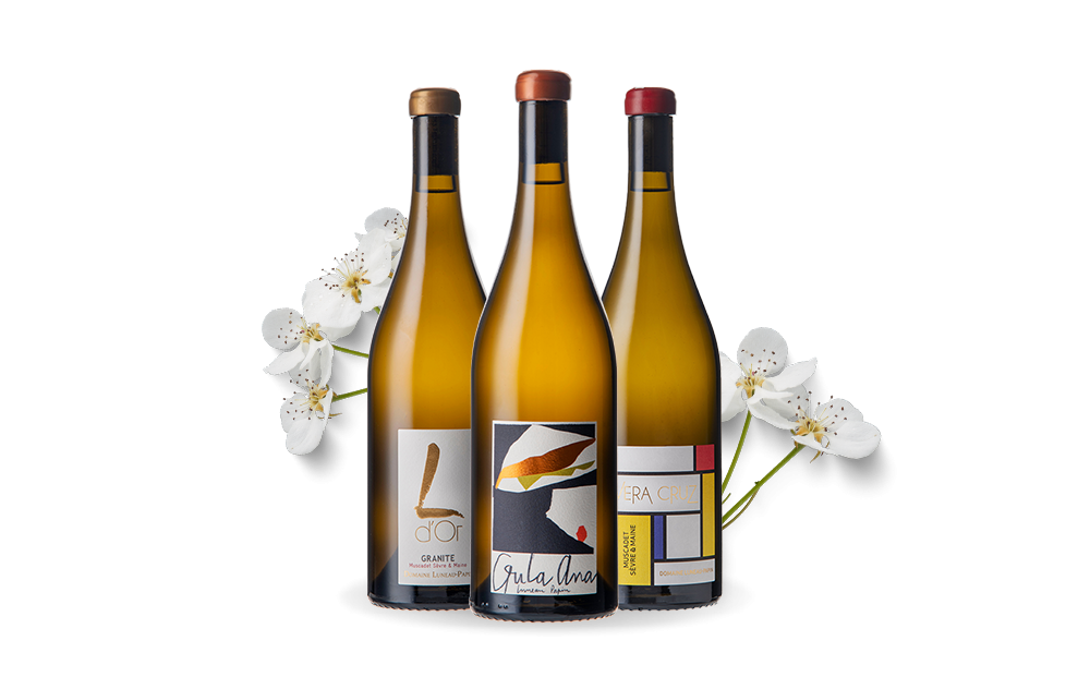 Domaine Luneau-Papin-cover