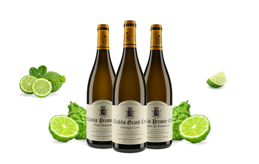 Jean-Paul & Benoît Droin-cover