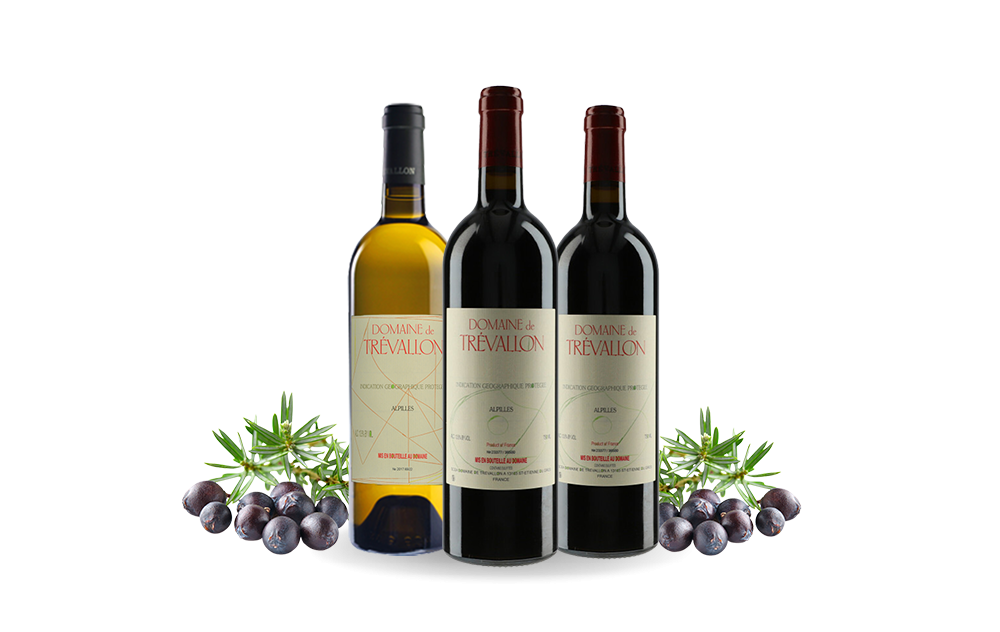 Domaine de Trévallon-cover