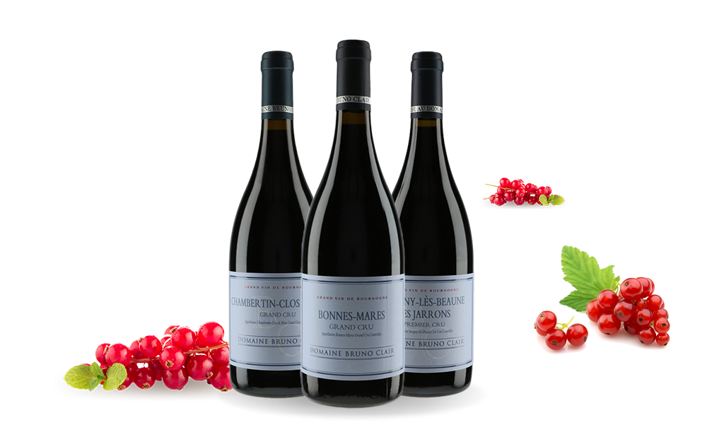 Domaine Bruno Clair-cover