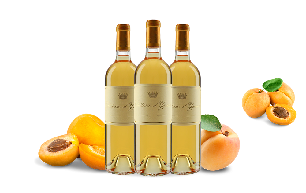 Château d'Yquem-cover