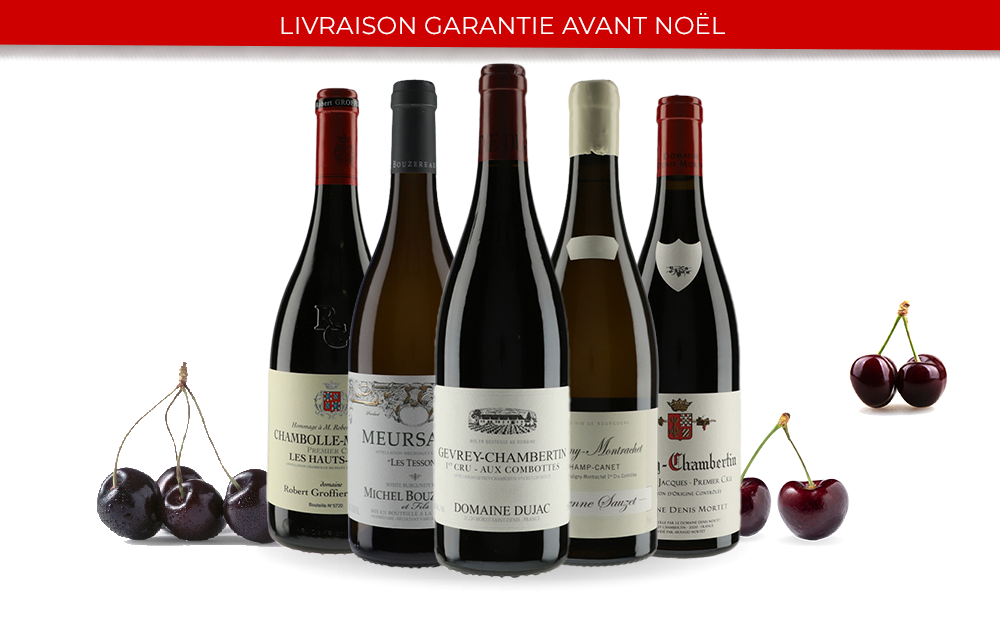 Grands Vins de Bourgogne-cover