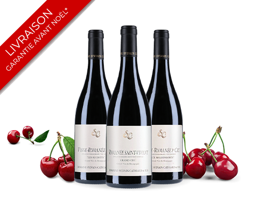 Domaine Sylvain Cathiard & Fils-cover