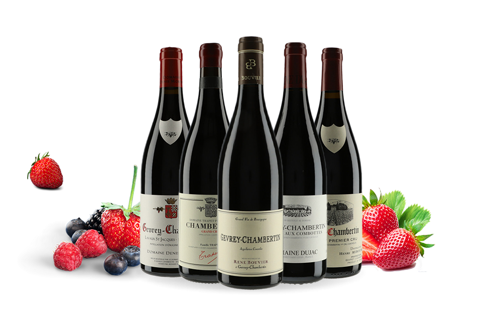 Gevrey-Chambertin-cover